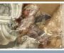 Santa Caterina – Campagna crowdfunding per sostenere il restauro dell’angioletto col vello d’oro
