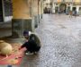 Una cucciolata … di sabbia sotto i portici in via Roma