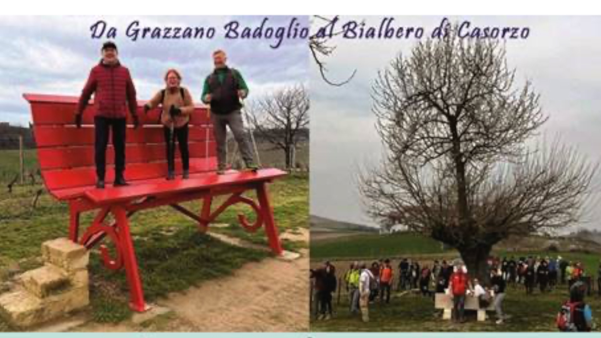 Pensieri colorati attimi dedicati... Trekking-Da-Grazzano-Badoglio-al-Bialbero-Casorzo-Post-2