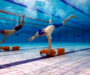 Chivasso – Primo Campionato Nazionale Libertas di Nuoto per Salvamento